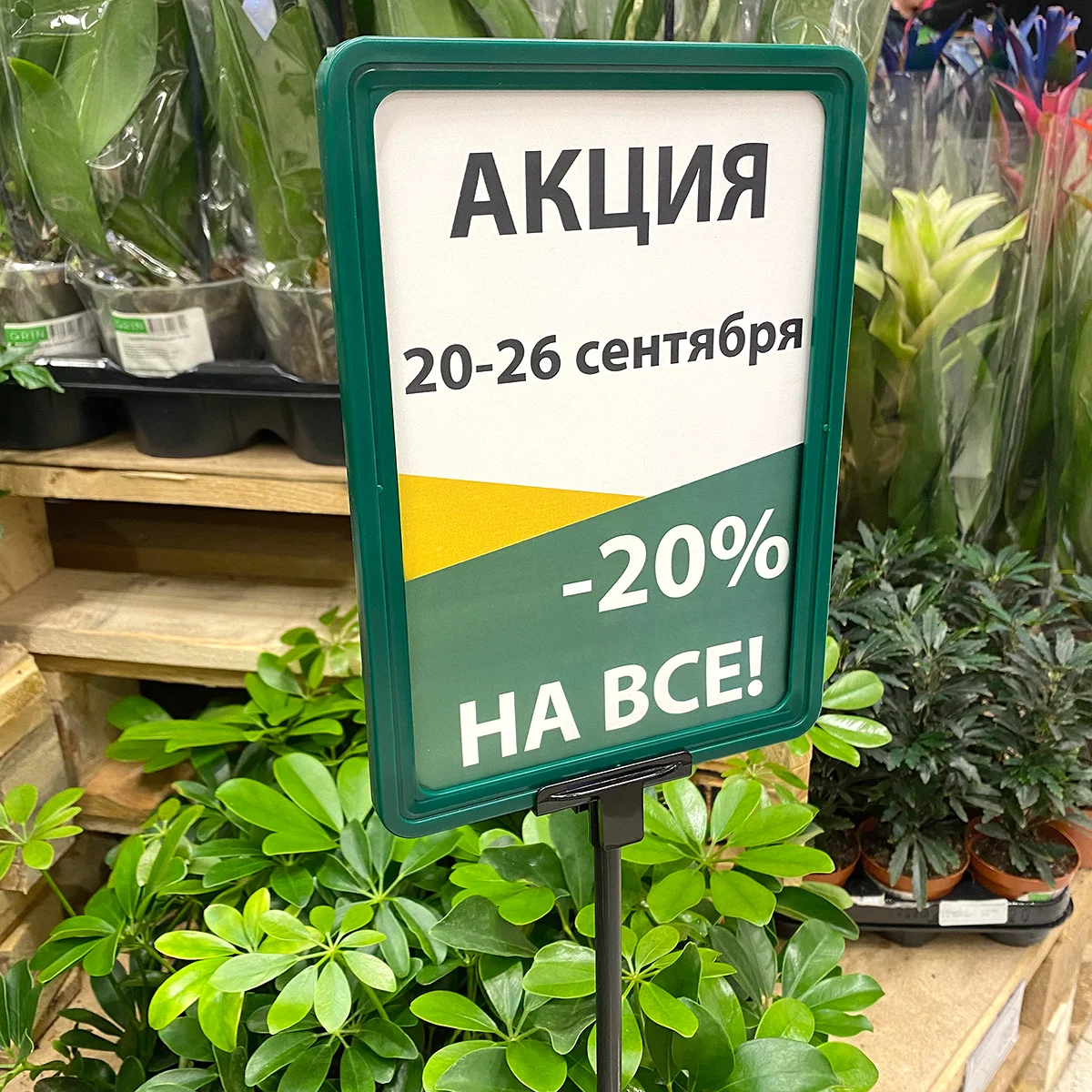Рамка PF-A5, цвет зеленый — фото 3