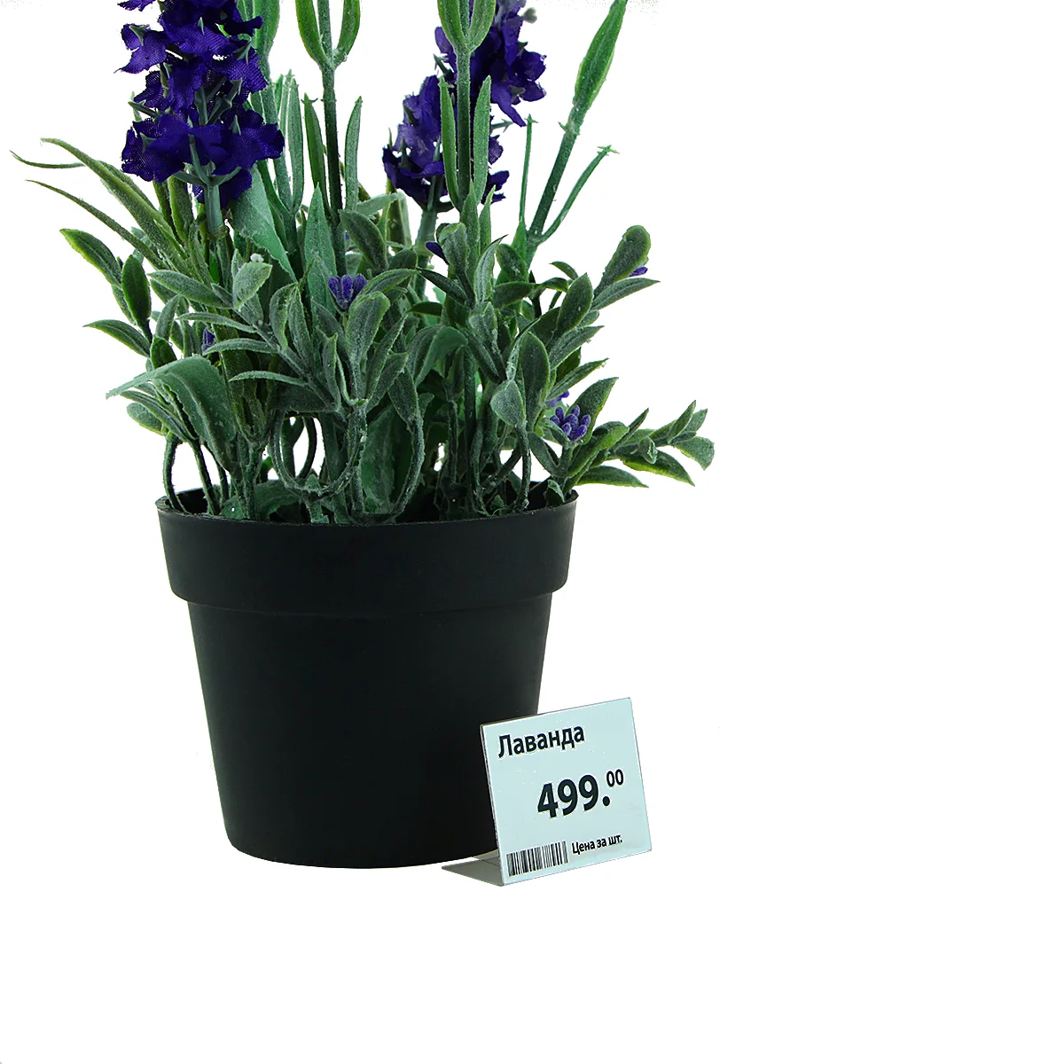 P-PRICER L shaklidagi narx yorlig‘i ushlagichi, 40×30 mm, gorizontal — 3-surat