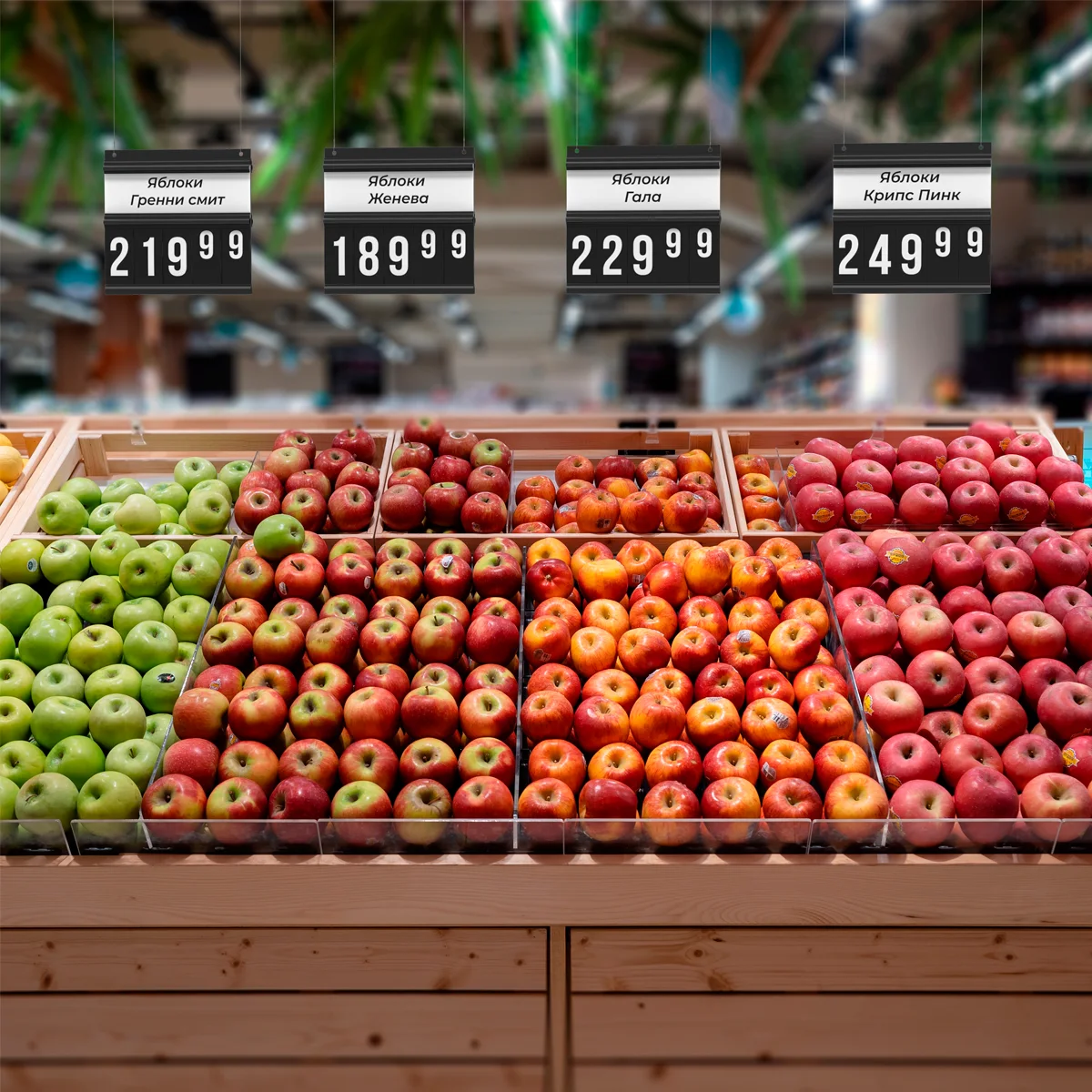 PRICEDISPLAY ikki tomonlama, 305x280 mm, qora — 2-surat