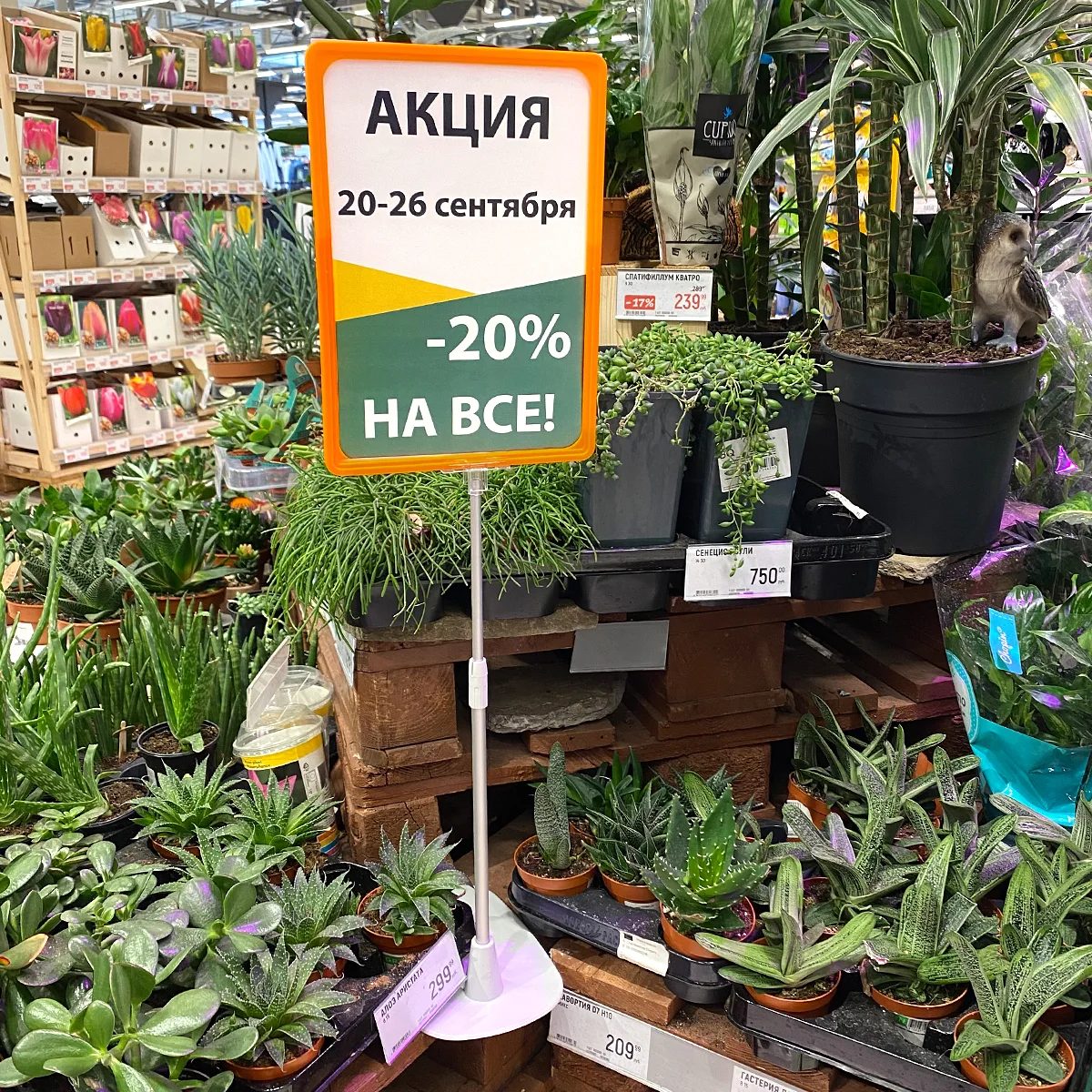 Рамка PF-A4, цвет оранжевый — фото 3