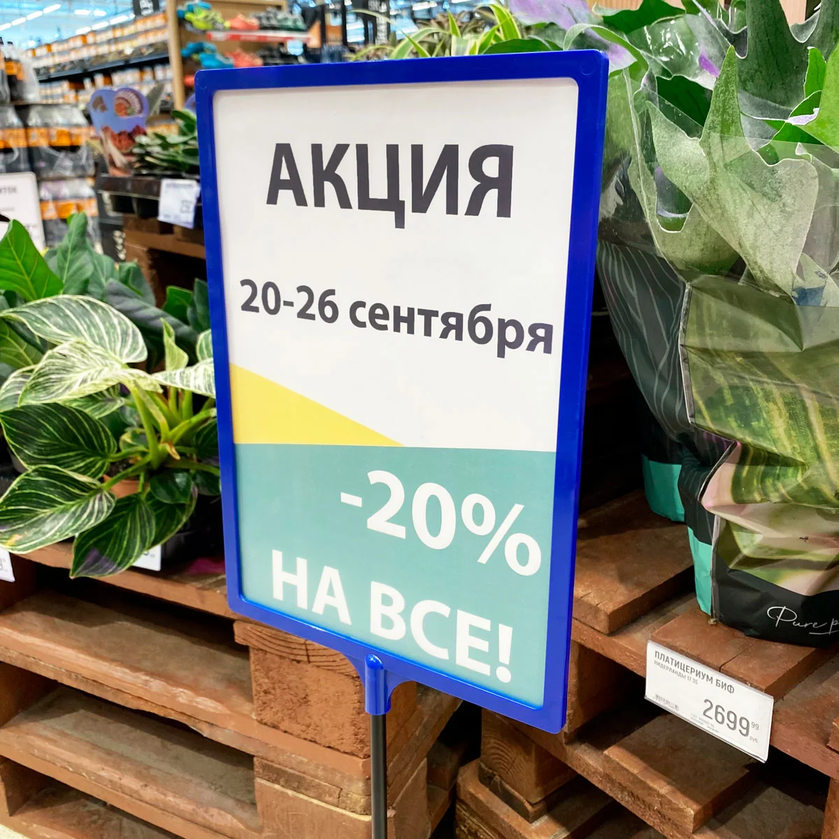 Рамка с интегрированным Т-держателем PFT-A4, цвет синий — фото 6