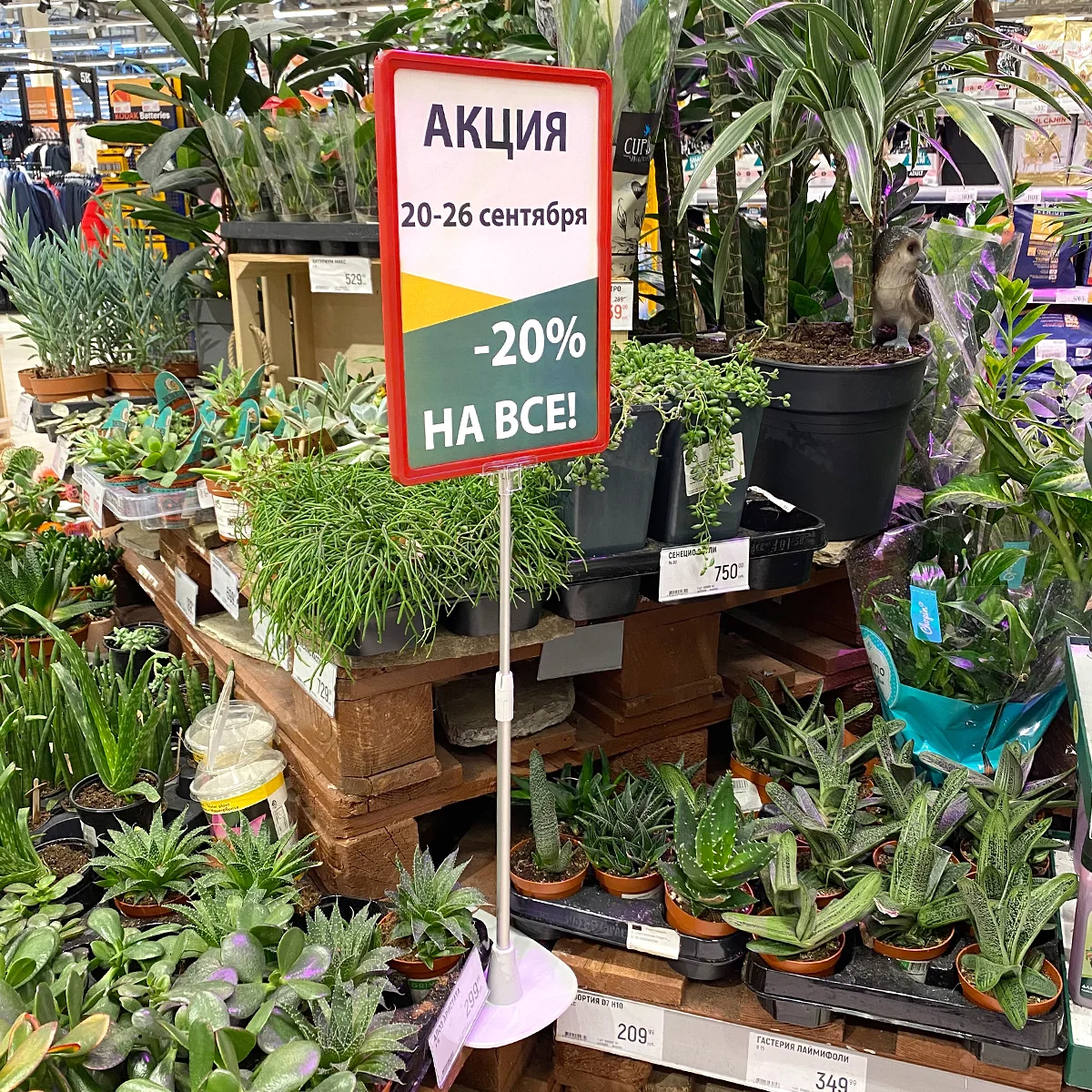 PF-A4 plastik axborot ramkasi, qizil — 3-surat